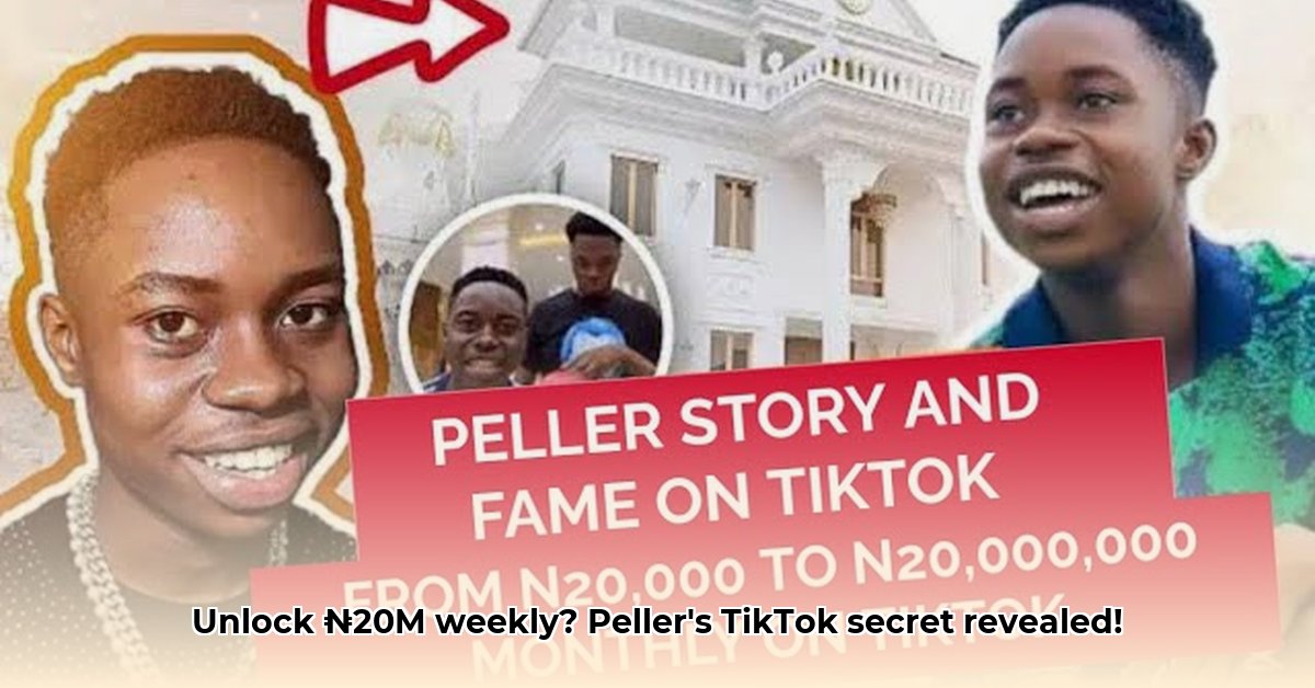 peller-tiktok-earnings-projections